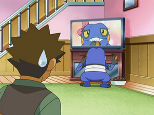 DP141 - Cradopaud de Pierre.png