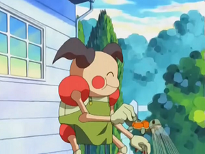 EP272 - M. Mime de Delia (Flash-back).png