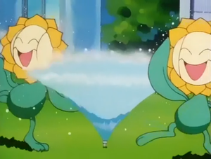 Héliatronc d'Aurore.png