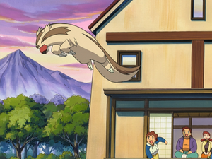 Linéon Ramassage.png