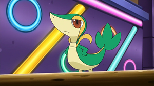 NB050 - Vipélierre de Sacha.png