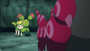 NB117 - Vivaldaim et Maracachi.png