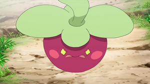 SL018 - Croquine de Barbara.png