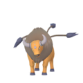 Tauros Amérique du Nord