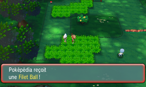 Bois Clémenti Filet Ball ROSA.png