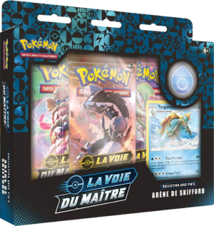 Collection avec pin's La Voie du Maître Arène de Skifford.png