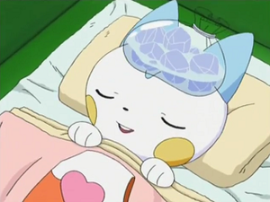 DP119 - Pachirisu d'Aurore (Flash-back).png