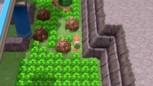 Route 206 Anti-Brûle DEPS.png