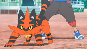 SL065 - Matoufeu de Sacha.png