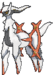 Arceus (Type Combat)