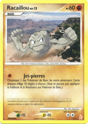 Carte Diamant & Perle Kit Dresseur Lucario 1.png