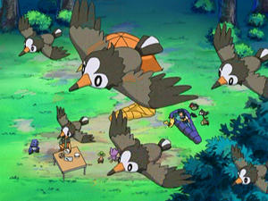 DP009 - Étourmi.png