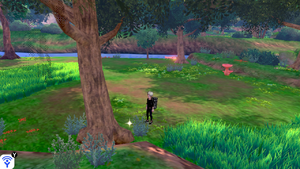 Forêt Flexion Objet Caché 11 EB.png