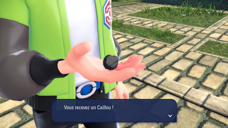 Fichier:Hôtel Z Caillou LPZA.png