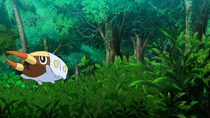 LV037 - Larvibule.png