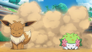 SL130 - Évoli de Néphie et Shaymin (Flash-back).png