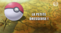 Vignette pour la version du 28 décembre 2015 à 06:01