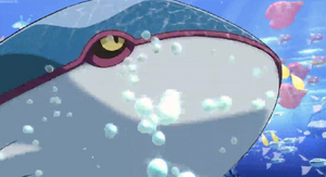 Film 11 Intro - Kyogre sauvage.png