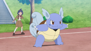 LH090 - Carabaffe d'un Dresseur.png