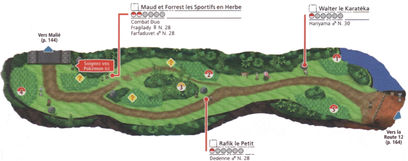 Fichier:Route 11 USUL.png