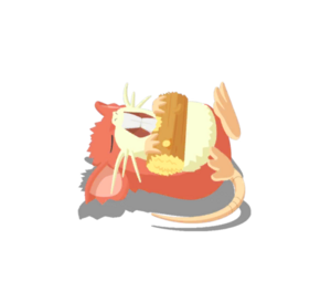 Sprite 0020 Dodo 3 chromatique Sleep.png