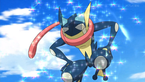 XY111 - Amphinobi de Sacha.png