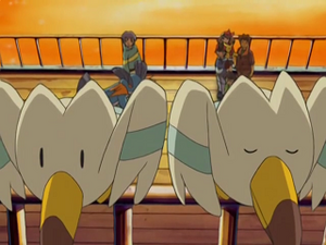 AG032 - Goélise.png