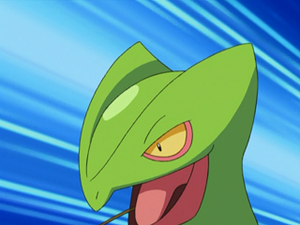 AG162 - Jungko de Sacha.png