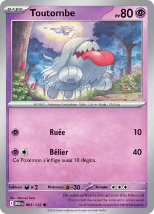 Carte Méga-Évolution 065.png