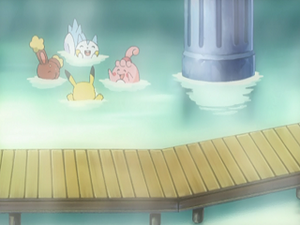DP063 - Pachirisu d'Aurore et Ptiravi de Pierre.png