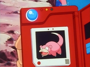 EP066 - Ramoloss Pokédex.png