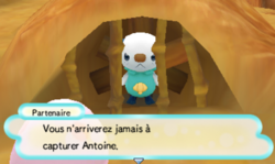 Le partenaire prisonnier.