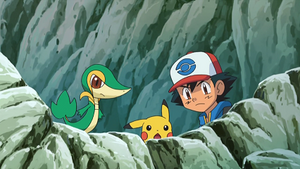 NB043 - Vipélierre de Sacha.png