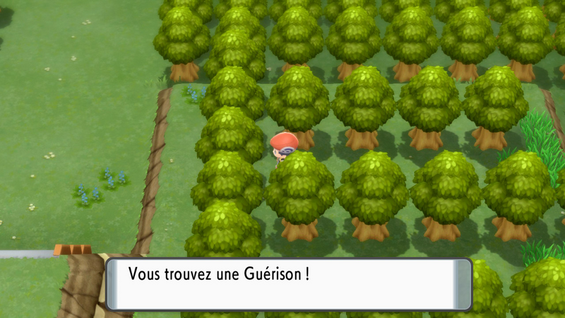 Fichier:Rive du Lac Courage Guérison DEPS.png