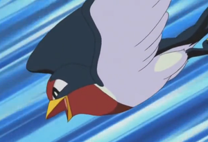 AG005 - Nirondelle de Sacha.png