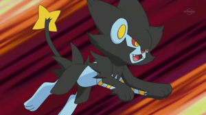 DP166 - Luxray de Tanguy.png