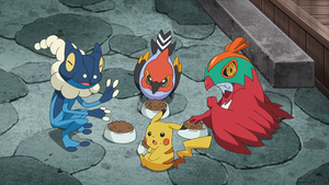 XY073 - Croâporal, Pikachu et Braisillon de Sacha.png