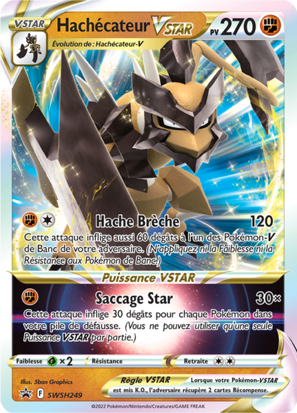 Fichier:Carte Promo SWSH SWSH249.png