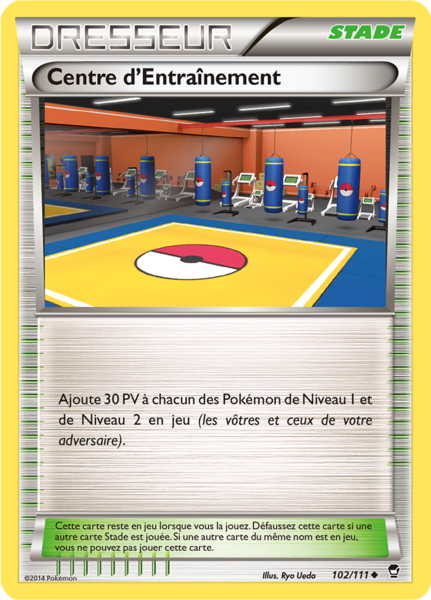 Fichier:Carte XY Poings Furieux 102.png