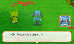 À mi-chemin l'équipe perd la trace de Mucuscule…