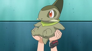 NB041 - Coupenotte d'Iris.png