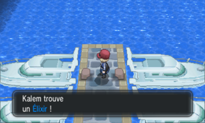 Port Tempères Élixir XY.png