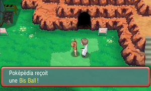 Route 116 Bis Ball ROSA.png