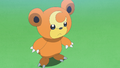 Teddiursa (d'Éra)