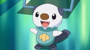 NB019 - Moustillon de Sacha.png