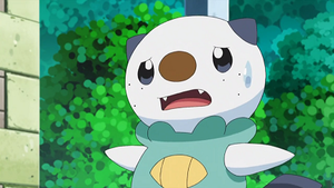 NB096 - Moustillon de Sacha.png