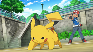 XY106 - Pikachu de Sacha.png