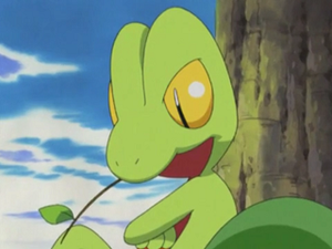 AG066 - Arcko de Sacha.png