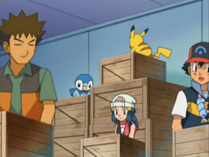 Baie Alga animé.png