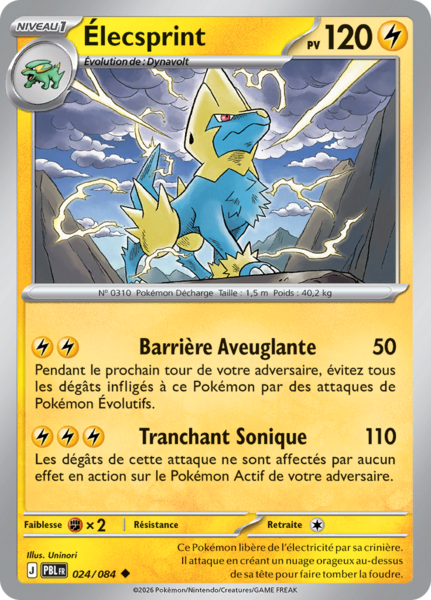 Fichier:Carte Méga-Évolution Nuit Noire 024.png